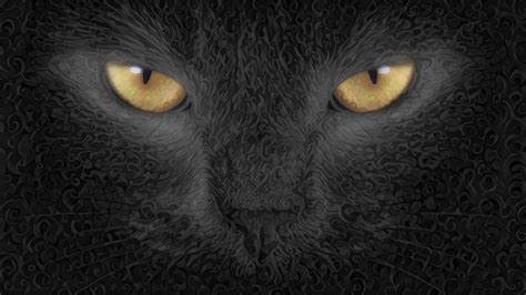 Cat Abstract Art Background, HD Artist, 4k Wallpapers, Images, Backgrounds, Photos and Pictures