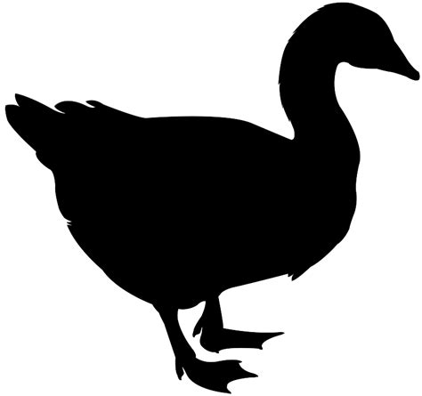 Goose Silhouette | Free vector silhouettes