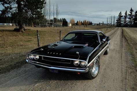 Black classic Dodge Challenger 1970 | Dodge challenger 1970, Dodge ...