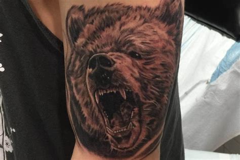 12+ Angry Bear Tattoo Designs - PetPress