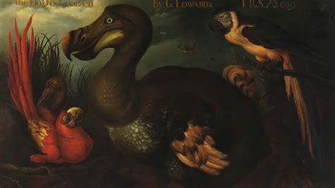 Scientists Say They Can Bring Back the Dodo. Should They? - 'Singularity Hub' News Summary ...