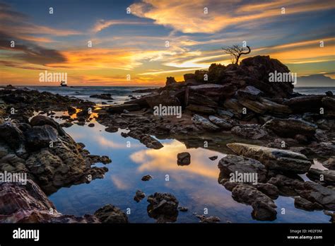 The bonsai rock sunset part 1 Stock Photo - Alamy