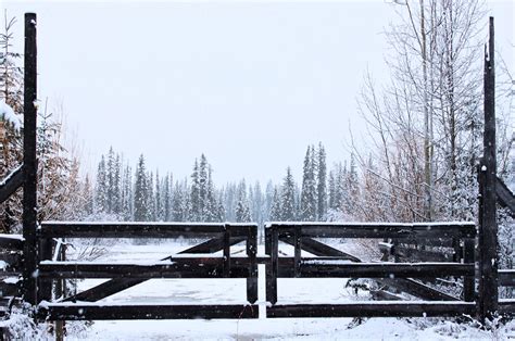 Snowfall | A sudden rocky mountain snowfall in April, that m… | Flickr