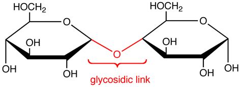 Glycosidic Link - Chemistry LibreTexts