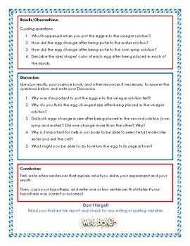 Cell Membranes and Osmosis Experiment- Lab Report Guide by Hands On Hearts Full