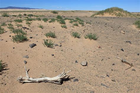The Desert Gobi stock image. Image of landscape, change - 37153561