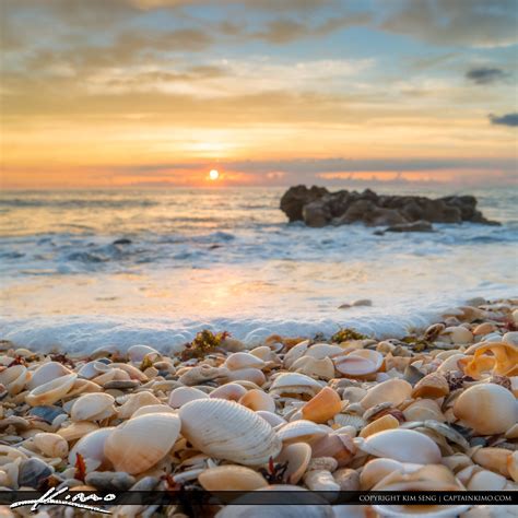 Beautiful Sunrise at Beach with Seashells – HDR Photography by Captain Kimo