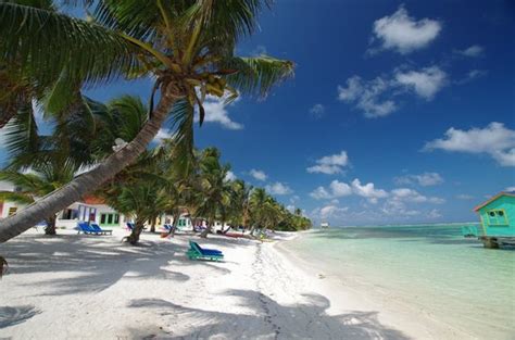 TRANQUILITY BAY RESORT - Updated 2018 Prices & Reviews (Belize/Ambergris Caye) - TripAdvisor