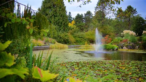 VanDusen Botanical Garden in Vancouver, British Columbia | Expedia