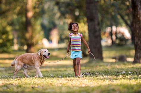 Walk with Your Dog: It’s Good For Your Mental Health - Discovery Mood & Anxiety Program