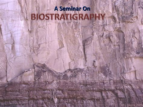 Biostratigraphy