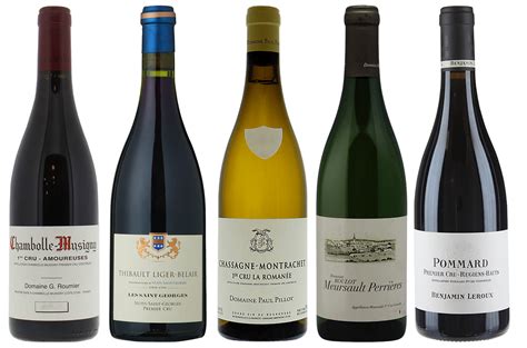 Best Burgundy 2020 premier cru wines - Decanter