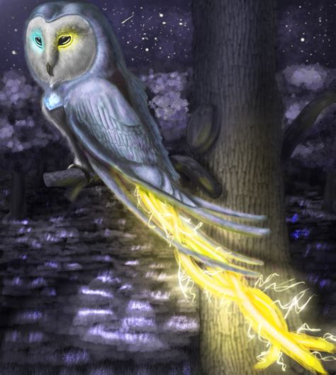 Emil Stratev - Magic Owl