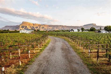 What to Know About Colorado’s Grand Valley AVA | Wine Enthusiast