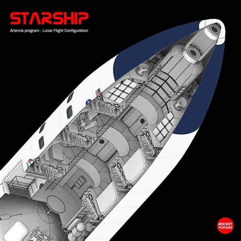 SpaceX's Lunar Starship cutaway diagram by Rocket Posters Champs, Spacex Starship, Spacex Rocket ...
