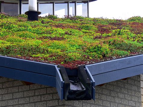 Living Roofs | Green Roofs | Living Wall Specialists, Hampshire, UK | Kershaw Roofing