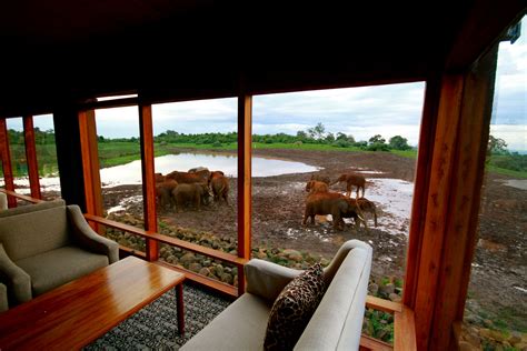 The Ark Kenya - Wildlife Spotting From Your Balcony In The Aberdare ...