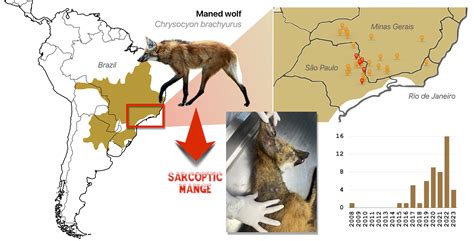 Pathogens | Free Full-Text | The Sarcoptic Mange in Maned Wolf (Chrysocyon brachyurus): Mapping ...