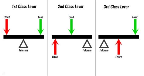 Types of Lever - Class 5 - CBSE Class Notes Online - Classnotes123