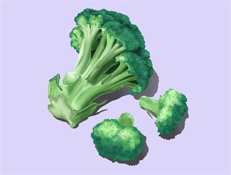 How To Draw A Broccoli Step by Step Procreate Tutorial - dobbernationLOVES