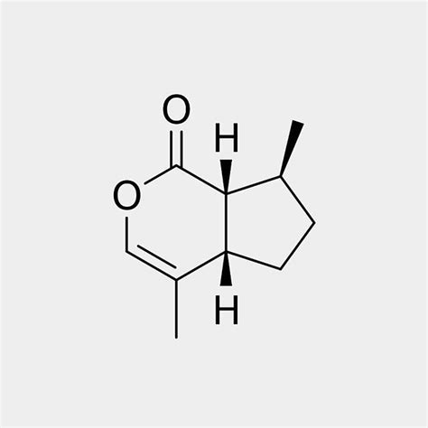 Discover the Fascinating World of Nepetalactone and its Effects on Cats