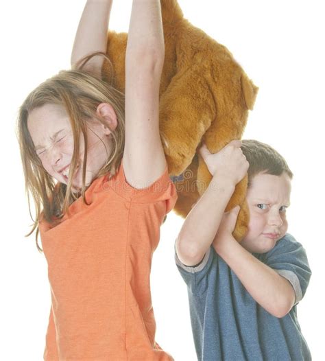 Kids fighting over toy stock image. Image of bear, compete - 17751205