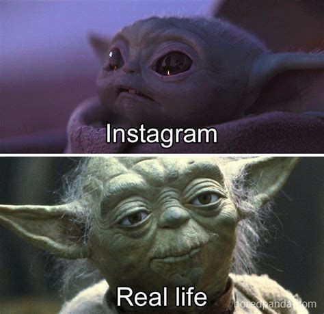 Master Yoda Meme