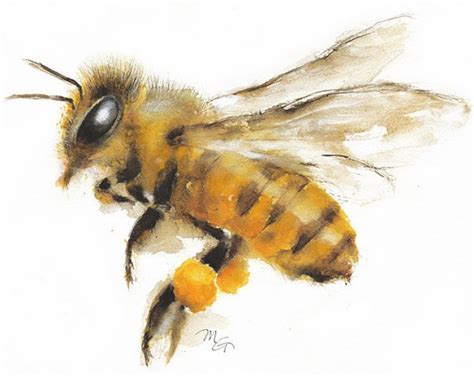 Bee - Dessin - Bumble Bee - Art créateur - Renommé murale - Grossier, Tonalité » Tableaux ...