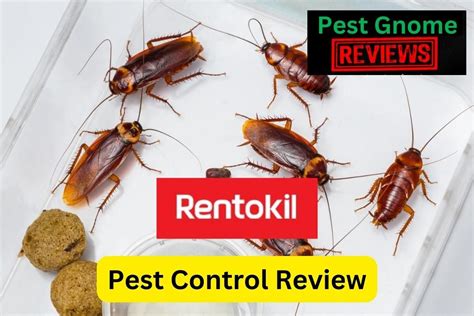 Rentokil Pest Control Review