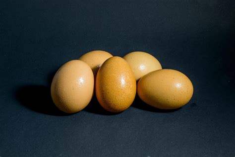 a group of egg 6592417 Stock Photo at Vecteezy