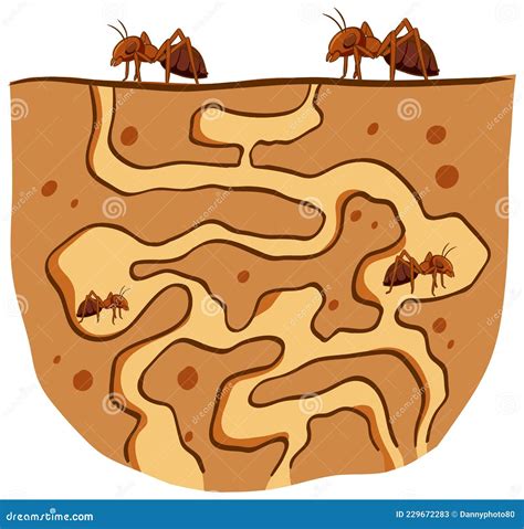 Ants Nest Tree Stock Illustrations – 9 Ants Nest Tree Stock Illustrations, Vectors & Clipart ...