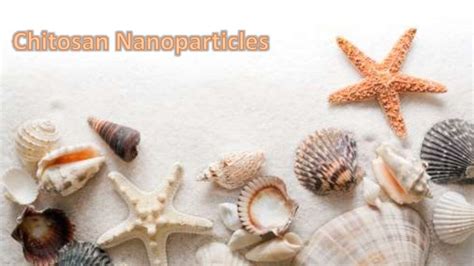 chitosan Nanoparticles