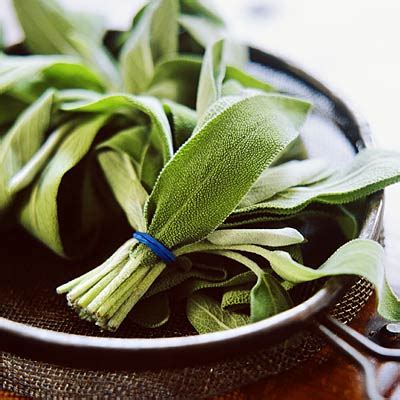 Sage - The Best Herbs to Grow and Eat at Home - Health.com