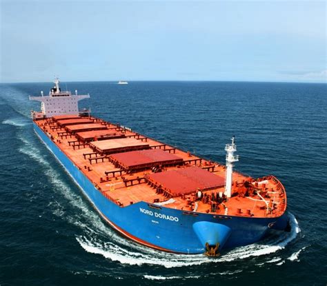 Dry Bulk Carriers in High Demand, As Ship Owners Expected Market Rebound | Hellenic Shipping ...