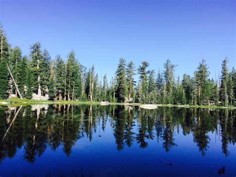 Yosemite National Park, Bass Lake and Sierra Nevada California - where ...