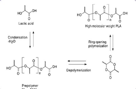 Reactions of the polymerization of lactic acid to obtain PLA by the ...