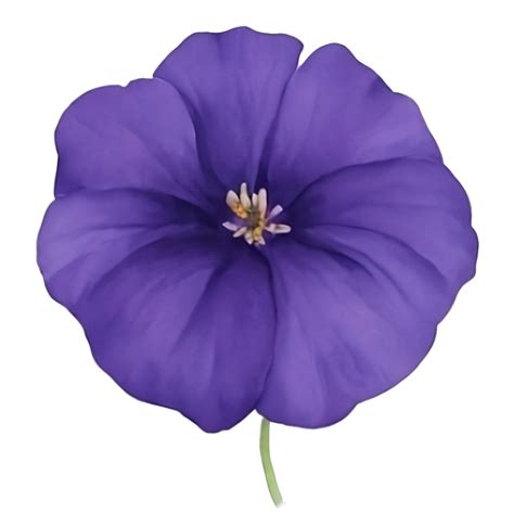 Purple or violet Morning glory flower clip art or sticker 27153344 PNG