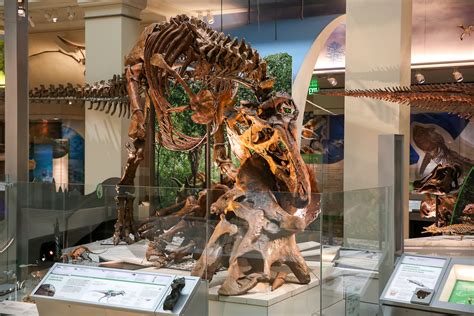 Dinosaurs come to life in the Museum of Natural History's new hall of fossils | DC Refined