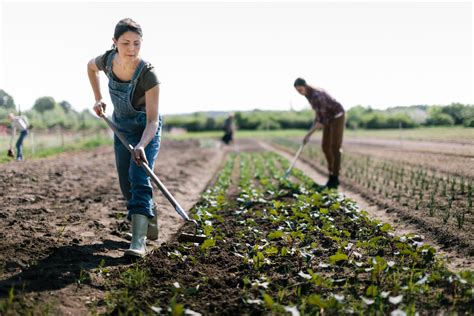 Our Best Food System Solutions Stories of 2020