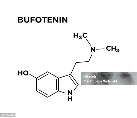 Bufotenin Psychoactive Substance Flat Chemical Formula Stock Illustration - Download Image Now ...