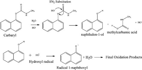 Mechanism for the carbaryl hydrolysis and 1-naphthol radical scavenging... | Download Scientific ...