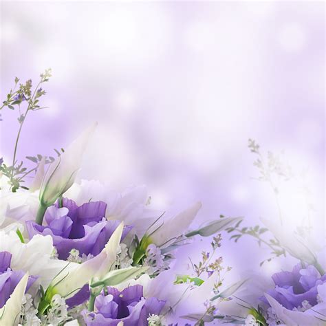 Free White, Spring, Flowers Background Images, Simple Background Photo ...