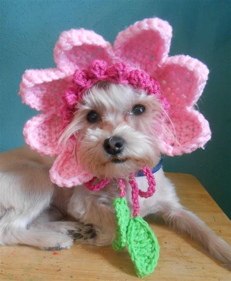 Crocheted Flower Hat for Dog or Cat, Pink Flower Hat for Pet, Spring Flower Pet Hat by ...