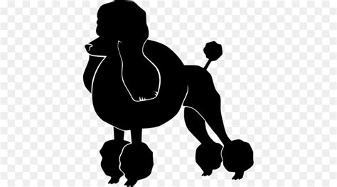 Standard Poodle Silhouette Clip art Vector graphics - poodle png dog ...