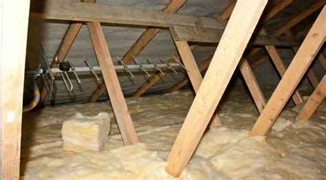 Signs that You Have Bats in Your Attic | Escondido Pest Control