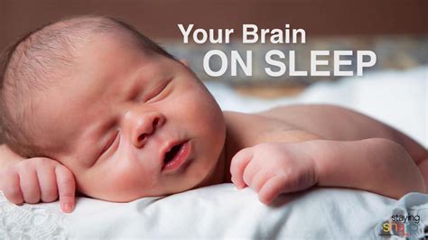 Your Brain on Sleep | Baby lullabies, Baby songs, Lullaby songs