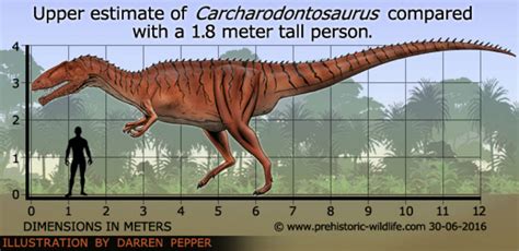 Carcharodontosaurus size by Frylock921 on DeviantArt