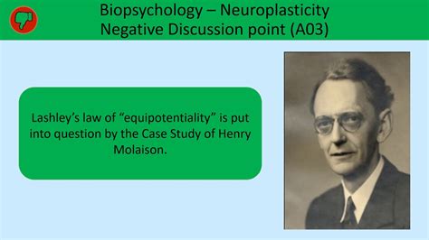 The Case Study of Henry Molaison for A Level Psychology - YouTube