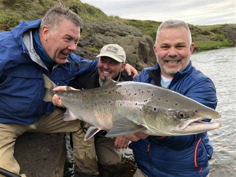 Salmon fishing in Iceland