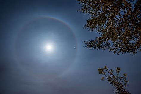 Have you seen a perfect halo around the moon recently? Here's why.